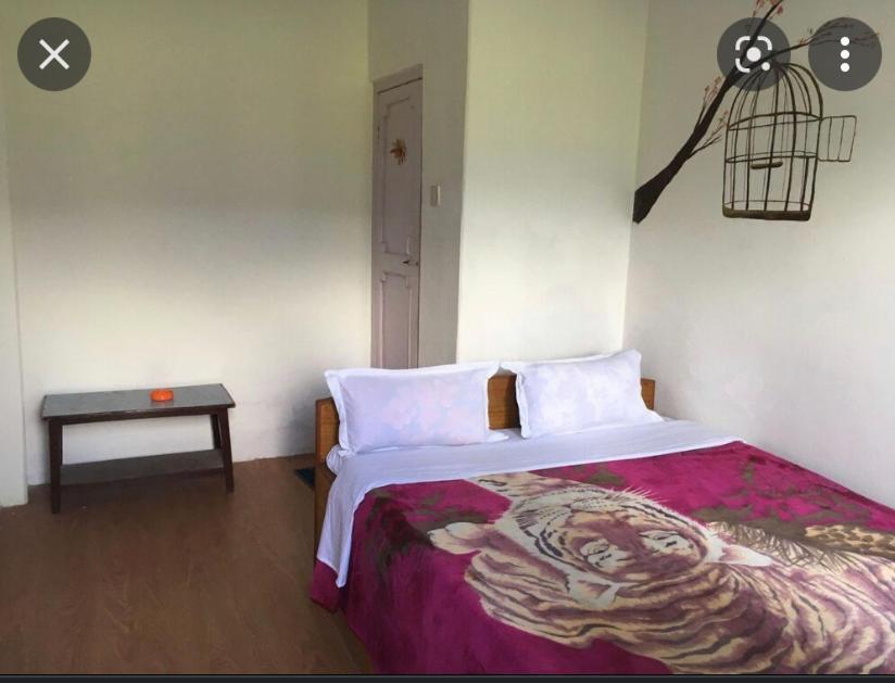 פוקהרה Tranquil Water Guest House מראה חיצוני תמונה